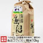 Yahoo! Yahoo!ショッピング(ヤフー ショッピング)【令和7年度新米】特別栽培米（減農薬・無化学肥料）魚沼産 コシヒカリ 精米10kg 株式会社うおぬま小岩農園/ギフトにも！/のし無料/送料無料