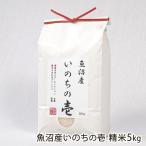 粒の大きさと濃厚な甘みが特徴の希少品種「いのちの壱」　魚沼産いのちの壱 精米5kg（5kg×1袋）/株式会社うおぬま小岩農園/送料無料