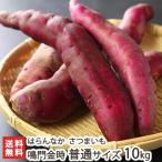 無農薬栽培の甘くて美味しい熟成さ