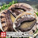 佐渡産 活黒アワビ Mサイズ 1kg（約4