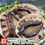 佐渡産 活黒アワビ Lサイズ 1kg（約3〜4個入）エアーポンプ付 ファクトリー童夢/後払い不可/送料無料