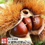  Niigata сверху . производство лед магазин .. каштан 2kg/kli.. сладкие каштаны /.. каштан сельское хозяйство ./ бесплатная доставка 