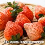  персик . одиночный 1 коробка ( примерно 320g/9~15 шарик ввод )* несессер ввод /.. цветок слово / бесплатная доставка 