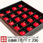  Niigata .. блок производство вишня Sato . супер крупный 3L размер 20 шарик premium подарочная коробка входить SEIRO FRUIT VILLAGE/ подарок тоже!/. . бесплатный / бесплатная доставка 