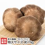  Niigata производство сырой .... очень большой размер примерно 1kg( примерно 11~15 шт )/ Aoki сельское хозяйство ./ бесплатная доставка 