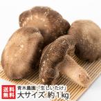  Niigata производство сырой .... большой размер примерно 1kg( примерно 19~27 шт )/ Aoki сельское хозяйство ./ бесплатная доставка 