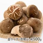  Niigata производство сырой .... средний размер ... примерно 500g(11~17 шт )/ Aoki сельское хозяйство ./ бесплатная доставка 