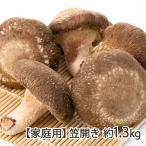 [ для бытового использования ] сырой ..... открытие примерно 1.3kg(23~39 шт )/ Aoki сельское хозяйство ./ бесплатная доставка 