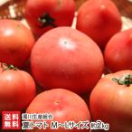  лето помидор M~L размер примерно 2kg(9~12 шар )/. река производство комплект ./ бесплатная доставка 
