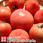  лето помидор M~L размер примерно 4kg(18~24 шар )/. река производство комплект ./ бесплатная доставка 