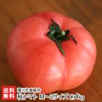  осень помидор M~L размер примерно 4kg(18~24 шар )/. река производство комплект ./ бесплатная доставка 