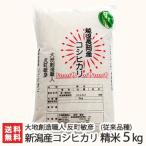 【令和7年度米】無農薬・無化学肥料 新潟産コシヒカリ（従来品種）精米 5kg/大地創造職人 反町敏彦/送料無料