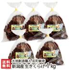  Niigata производство сырой иудино ухо 1kg (200g×5) большой земля . структура работник . блок ../ подарок тоже!/. . бесплатный / бесплатная доставка 