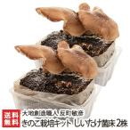 きのこ栽培キット しいたけ菌床 2株/椎茸 シイタケ きのこ キノコ 茸/大地創造職人 反町敏彦/産地直送/送料無料