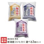 Yahoo! Yahoo!ショッピング(ヤフー ショッピング)令和6年度産米 新潟産コシヒカリ 選べる300g×3個セット ※岩船産・佐渡産・魚沼産・阿賀野市産・新潟産 玄米よりお選びください/株式会社 壱成/送料無料