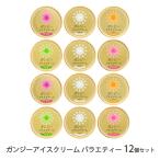 ガンジーアイスクリーム バラエティー 12個セット(ゴールデンミルク,抹茶,ストロベリー,キャラメル&ナッツ,ラズベリー&レアチーズ)/加勢牧場/送料無料