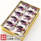 .. моти 20 штук / акционерное общество .... общий главный офис / бесплатная доставка 