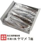 Yahoo! Yahoo!ショッピング(ヤフー ショッピング)新潟産 冷凍川魚 ヤマメ 1箱（11尾入り）魚沼 高野養魚場/ギフトにも！/のし無料/送料無料
