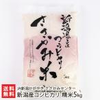 Yahoo! Yahoo!ショッピング(ヤフー ショッピング)【令和7年度新米】新潟 ささかみ産 コシヒカリ 精米5kg JA新潟かがやき ささかみセンター/ギフト/ギフトにも！/のし無料/送料無料