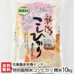 Yahoo! Yahoo!ショッピング(ヤフー ショッピング)【令和5年度米】特別栽培米（減農薬・減化学肥料）新潟産 従来品種コシヒカリ 精米10kg（2.5kg×4） 佐藤農産有機センター/ギフトにも！/のし無料/送料無料