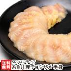 Yahoo! Yahoo!ショッピング(ヤフー ショッピング)新潟 糸魚川産 チョウザメ 半身（400〜500g）/淡水魚 養殖 切身 瞬間冷凍/SKフロンティア/送料無料
