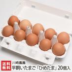  flat .. Tama .[.. Tama ] 20 штук входит (10 штук входит ×2)/ Kawasaki сельское хозяйство ./[ наложенный платеж * отсроченный платеж не возможно ]/ бесплатная доставка 