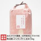 Yahoo! Yahoo!ショッピング(ヤフー ショッピング)魚沼産 自然栽培米（無農薬・無化学肥料）コシヒカリ（従来品種・棚田栽培）玄米5kg/ぬながわ村農園/送料無料