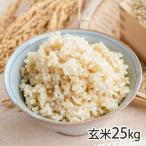 【令和7年度新米】佐渡産ササニシキ 玄米25kg 高島農場/送料無料