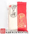 【令和7年度新米】新潟産 新之助 無洗米10kg（2kg×5袋）/谷川ファーム/送料無料