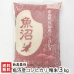 【令和5年度米】魚沼産 コシヒカリ 精米3kg 新潟農商/のし無料/送料無料