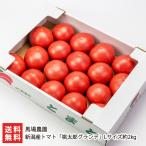  Niigata производство помидор [ персик Taro grande ]L размер примерно 2kg(9~10 шар )/ лошадь место сельское хозяйство ./ бесплатная доставка 