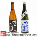 かたふね 特別本醸造・純米酒 720ml(4合) 2本セット/合資会社竹田酒造店/送料無料