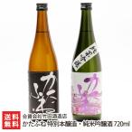 かたふね 特別本醸造・純米吟醸酒 720ml(4合) 2本セット/合資会社竹田酒造店/送料無料