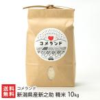 Yahoo! Yahoo!ショッピング(ヤフー ショッピング)【令和5年度米】新潟県産新之助 精米10kg/ コメランド/送料無料