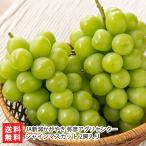  автомобиль in мускат 2. ввод /JA Niigata ...... UGG li центральный / отсроченный платеж расчет не возможно / бесплатная доставка 