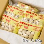 新潟県産 銀杏 2Lサイズ 600g(100g×6袋)/野菜 ぎんなん ギンナン/JA新潟かがやき 弥彦アグリセンター/後払い決済不可/送料無料