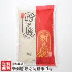Yahoo! Yahoo!ショッピング(ヤフー ショッピング)【令和7年度新米】新潟産 新之助 精米4kg（2kg×2袋）/小林農場/送料無料