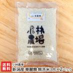 Yahoo! Yahoo!ショッピング(ヤフー ショッピング)新潟産 華麗舞（カレー米）無洗米3合×2パック/小林農場/送料無料