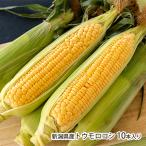  Niigata префектура производство кукуруза 10 шт. входит / Kobayashi сельское хозяйство место / бесплатная доставка 