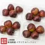  Niigata префектура производство ichi ось 4 упаковка ввод / гора . сельское хозяйство ./ отсроченный платеж расчет не возможно / бесплатная доставка 