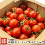  Niigata префектура производство мини помидоры [....]1kg/ гора . сельское хозяйство ./ наложенный платеж расчет не возможно / бесплатная доставка 