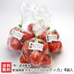  Niigata префектура производство средний шар помидор [ полный TIKKA ]4 пакет ввод (1 пакет на примерно 280g)/( иметь ) дорога лагуна сельское хозяйство место / отсроченный платеж расчет не возможно / бесплатная доставка 