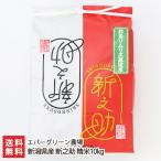 【令和7年度新米】新潟県産新之助 精米10kg(5kg×2袋)/エバーグリーン農場/送料無料