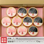 . после .. джелато * шербет 10 штук входит ( джелато 5 шт * шербет 5 шт )/. глициния клубника ./ бесплатная доставка 