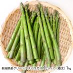  Niigata префектура производство зеленый спаржа 2L размер ( очень толстый )1kg / Iizuka сельское хозяйство ./ бесплатная доставка 