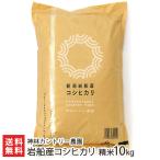 【令和7年度新米】 岩船産コシヒカリ 精米10kg（5kg×2袋）/神林カントリー農園/送料無料