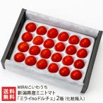  Niigata префектура производство мини помидоры [ Mira ino Dolce ]2 коробка ( несессер входить )/MIRAI...../ отсроченный платеж расчет не возможно / бесплатная доставка 