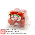  Niigata префектура производство мини помидоры [ Mira ino Dolce ]6 упаковка ввод /MIRAI...../ отсроченный платеж расчет не возможно / бесплатная доставка 