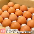  мысль вышел .... тест структура .20 штук входит / ООО река .. курица место / отсроченный платеж расчет не возможно / бесплатная доставка 