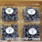  Niigata префектура производство голубика 4 упаковка / маленький . сельское хозяйство ./ бесплатная доставка 